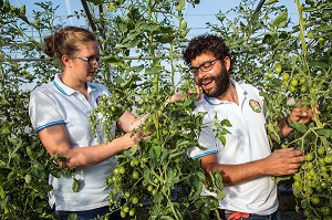 PRODUITS DE TERROIR, ALIMENTATION DE QUALITE, FRANCE 