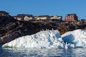 MOUETTES ET ICEBERG ET MAISONS SUR LA COLLINE D'ILULISSAT, GROENLAND 