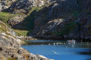 PECHEURS AU MILIEU DES MOUETTES DANS UN BRAS DU FJORD, ILULISSAT, GROENLAND 