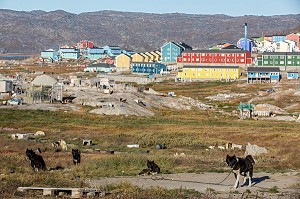 ELEVAGE DE CHIENS DE TRAINEAUX DEVANT LES MAISONS COLOREES EN BOIS, ILULISSAT, GROENLAND 