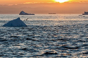 COUCHER DE SOLEIL SUR LES ICEBERGS DU FJORD DE GLACE, GLACIER JAKOBSHAVN, LONG DE 65 KILOMETRES PROVENANT DE L’INLANDSIS, SERMEQ KUJALLEQ, ILULISSAT, GROENLAND 
