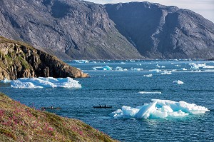 CANOE KAYAK AU MILIEU DES ICEBERGS DETACHES DU GLACIER, FJORD DE LA BAIE DE NARSAQ, GROENLAND 