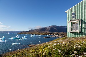 PAYSAGE POLAIRE AVEC LA FLORE, LES ICEBERGS FLOTTANT DANS LE FJORD, LES MAISONS COLOREES EN BOIS, BAIE DE NARSAQ, GROENLAND