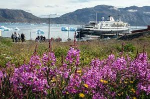 DEBARQUEMENT DES PASSAGERS DEVANT LE PAQUEBOT A QUAI DANS LE PORT AVEC LES ICEBERGS, BATEAU DE CROISIERE ASTORIA, NARSAQ, GROENLAND 