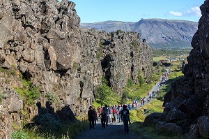 GORGES DE L’ALMANNAGJA, PARC NATIONAL DE THINGVELLIR, LIEU DE L'ANCIEN PARLEMENT OU FUT PROCLAME L'INDEPENDANCE DE L'ISLANDE, SITE CLASSE AU PATRIMOINE MONDIAL DE L'UNESCO, CERCLE D'OR, GOLDEN CIRCLE, ISLANDE 