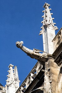 GARGOUILLE SUR LA FACADE SUD, CATHEDRALE NOTRE-DAME, EVREUX (27), FRANCE 