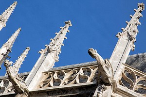 GARGOUILLE SUR LA FACADE SUD, CATHEDRALE NOTRE-DAME, EVREUX (27), FRANCE 