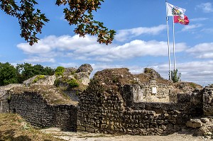 CHATEAU FORT, ANCIENNE FORTERESSE MILITAIRE DU X EME SIECLE, IVRY-LA-BATAILLE (27), FRANCE 