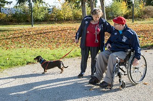 HOMME HANDICAPE PHYSIQUE DANS SON FAUTEUIL ROULANT AVEC SA FEMME ET SON CHIEN DANS LA PARC EN AUTOMNE, CHARTRES (28), FRANCE 