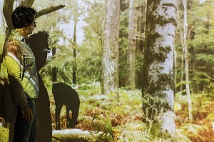 ANIMATION VIDEO, CENTRE D'INTERPRETATION DE LA FORET ET DE L'HOMME, CHATEAU DE SENONCHES (28), FRANCE 