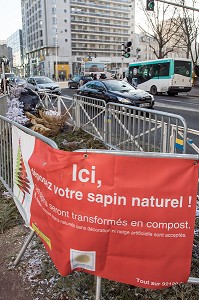 RECYCLAGE DES SAPINS DE NOEL A PARIS, (75), FRANCE 