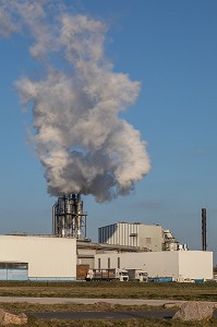 ENTREPRISE KRONOSPAN, FABRICANT DE PANNEAUX DE BOIS, LE CREUSOT (71), FRANCE 