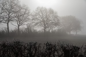 PAYSAGE D'HIVER DANS LA BRUME, COMMUNE DE POISSON (71), FRANCE 