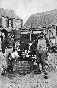 FABRICATION DE CIDRE EN BEAUCE 