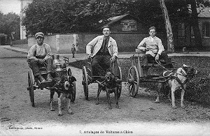 ATTELAGES DE VOITURES A CHIEN, BRIARE (45), FRANCE 