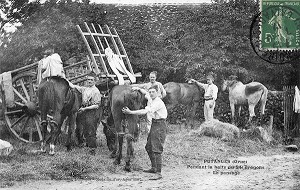 BATTERIE A PUTANGES, (61) ORNE, BASSE-NORMANDIE, FRANCE 