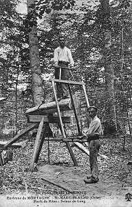 SCIEUR DE LONG, FORET DE RENO, SAINT MARC DE RENO, (61) ORNE, BASSE-NORMANDIE, FRANCE 