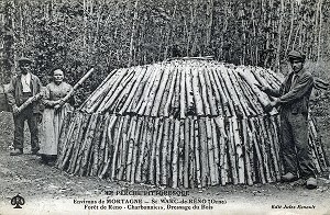 CHARBONNIERS, DRESSAGE DU BOIS, FORET DE RENO, SAINT MARC DE RENO, (61) ORNE, BASSE-NORMANDIE, FRANCE 