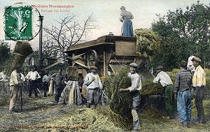 BATTAGE DES GRAINS EN NORMANDIE 