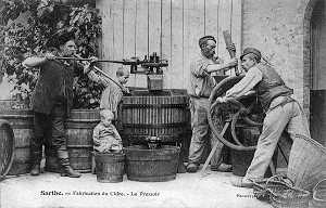 FABRICATION DU CIDRE, (72) SARTHE, PAYS DE LA LOIRE, FRANCE 