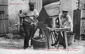 FABRICATION DU CIDRE, ECRASAGE DES POMMES, (76) SEINE-MARITIME, HAUTE-NORMANDIE, FRANCE 