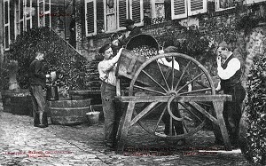 CIDRERIE A GOURNAY, (76) SEINE-MARITIME, HAUTE-NORMANDIE, FRANCE 