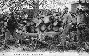 CASSEURS DE BOIS, ISIGNY SUR MER, (14) CALVADOS, BASSE-NORMANDIE, FRANCE 