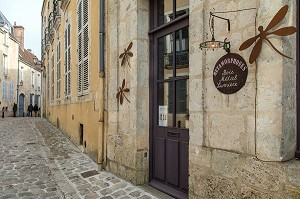 ATELIER D'ARTISTES, METAMORPHOSES, HABITATIONS ET HOTELS PARTICULIERS, RUE DU CHATEAU, BELLEME (61), COMMUNE DU PARC REGIONAL DU PERCHE, VILLAGE DE CARACTERE, NORMANDIE, FRANCE 