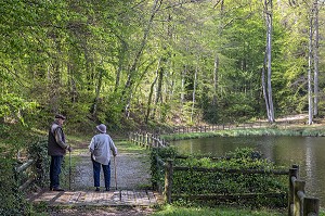 ETANG DE LA HERSE, FORET REMARQUABLE, BELLEME (61), COMMUNE DU PARC REGIONAL DU PERCHE, VILLAGE DE CARACTERE, NORMANDIE, FRANCE 