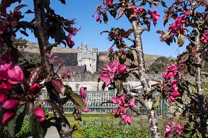 JARDIN CLOS DEVANT LE CHATEAU, PARC NATIONAL DE GLENVEAGH, COMTE DE DONEGAL, IRLANDE 