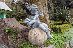 PETIT ANGELOT DANS LE JARDIN CLOS DU CHATEAU, PARC NATIONAL DE GLENVEAGH, COMTE DE DONEGAL, IRLANDE 