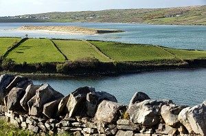 ELEVAGE DE MONTONS SUR L'ILE DE LA BAIE DE BALLYNESS, ROUTE DE MAGHERA, ARDARA, COMTE DE DONEGAL, IRLANDE 