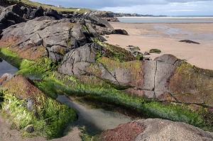 PLAGE DE GLEANN CHOLM CILLE, COMTE DE DONEGAL, IRLANDE 