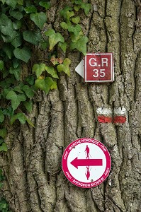 GR35, MARCHE NORDIQUE SUR LE CHEMIN DE GRANDE RANDONNEE, THIRON-GARDAIS (28), FRANCE 