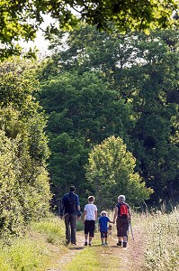 BALADE EN FAMILLE, RANDONNEE PEDESTRE DANS LA VALLEE DES CAILLES, BONCOURT, ANET,(28), FRANCE 