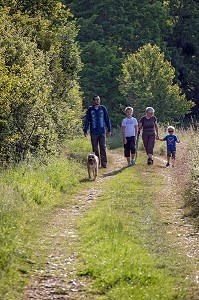 BALADE EN FAMILLE, RANDONNEE PEDESTRE DANS LA VALLEE DES CAILLES, BONCOURT, ANET,(28), FRANCE 