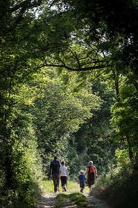 BALADE EN FAMILLE, RANDONNEE PEDESTRE DANS LA VALLEE DES CAILLES, BONCOURT, ANET,(28), FRANCE 