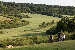 BALADE EN FAMILLE, RANDONNEE PEDESTRE DANS LA VALLEE DES CAILLES, BONCOURT, ANET,(28), FRANCE 