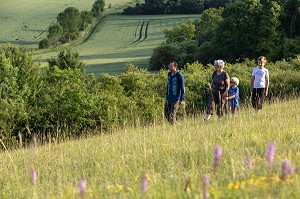BALADE EN FAMILLE, RANDONNEE PEDESTRE DANS LA VALLEE DES CAILLES, BONCOURT, ANET,(28), FRANCE 