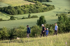 BALADE EN FAMILLE, RANDONNEE PEDESTRE DANS LA VALLEE DES CAILLES, BONCOURT, ANET,(28), FRANCE 