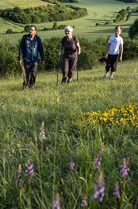 BALADE EN FAMILLE, RANDONNEE PEDESTRE DANS LA VALLEE DES CAILLES, BONCOURT, ANET,(28), FRANCE 