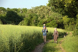 BALADE EN FAMILLE, RANDONNEE PEDESTRE DANS LA VALLEE DES CAILLES, BONCOURT, ANET,(28), FRANCE 
