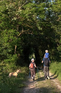BALADE EN FAMILLE, RANDONNEE PEDESTRE DANS LA VALLEE DES CAILLES, BONCOURT, ANET,(28), FRANCE 