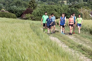 CHEMIN DE RANDONNEE PEDESTRE SUR LES HAUTS DE CHARTRES (28), FRANCE 