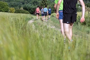 CHEMIN DE RANDONNEE PEDESTRE SUR LES HAUTS DE CHARTRES (28), FRANCE 