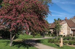 JARDIN SAINT-HUGUES, PARAY-LE-MONIAL (71), FRANCE 