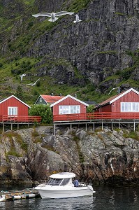 MAISONS TRADITIONNELLES EN BOIS DE COULEUR ROUGE, VILLAGE MUSEE DE PECHEURS DE A (NORSK FISKEVAERSMUSEUM), ILES LOFOTEN, NORVEGE 