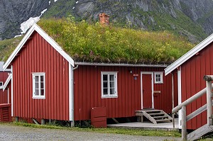 MAISONS TRADITIONNELLES EN BOIS DE COULEUR ROUGE, TOIT VEGETALISE POUR ISOLATION THERMIQUE, VILLAGE DE REINE, ILES LOFOTEN, NORVEGE 