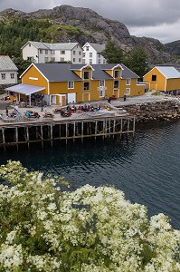 PORT DE PECHE ENTOURE DE MONTAGNE AVEC SES MAISONS DE PECHEURS TRADITIONNELLES EN BOIS DE COULEUR JAUNE, NUSFJORD, FJORD DE VESTFJORD, ILES LOFOTEN, NORVEGE 