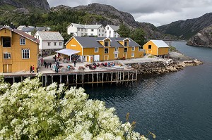PORT DE PECHE ENTOURE DE MONTAGNE AVEC SES MAISONS DE PECHEURS TRADITIONNELLES EN BOIS DE COULEUR JAUNE, NUSFJORD, FJORD DE VESTFJORD, ILES LOFOTEN, NORVEGE 
